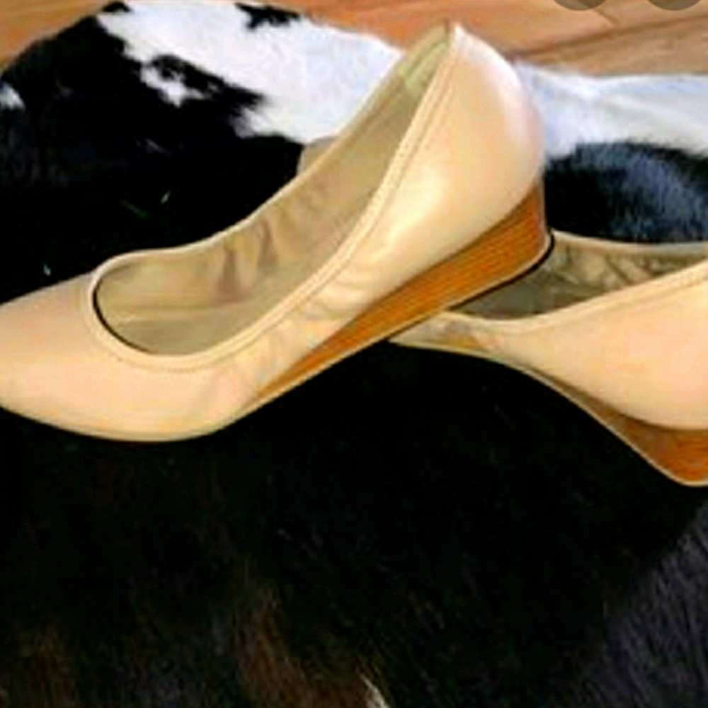 Wedge pumps